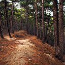 ������������� ���� , ����� , �������� ������� ������� , www.alexeysazonov.ru �� ������� ������