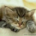 ���� �����, ������� �����-7, 54 ���� - ��������� 15 ������ 2015 � ������ �������.�