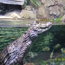 ���� Eugene, �������, 43 ���� - ��������� 18 ������� 2014 � ������ ����������� ��������