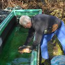 ���� Viktor, ���������, 62 ���� - ��������� 20 ����� 2015 � ������ ���� ����������