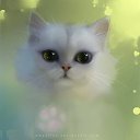 ���� �������, �������, 23 ���� - ��������� 1 ������ 2015 � ������ ���� ����������