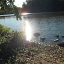 ���� �������, ����������� - ��������� 25 ������� 2015 � ������ ������ �� �������