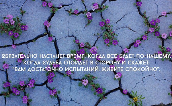   - 26  2015  12:22