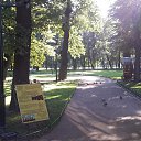 ���� ������, ���������, 48 ��� - ��������� 24 ������� 2014 � ������ ���� ����������