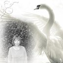 ���� ������, �������, 59 ��� - ��������� 2 ������ 2015 � ������ ���� ����������