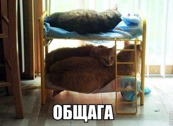    :-) - 16  2015  10:41