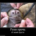 ���� ��������, ��������, 52 ���� - ��������� 18 ������� 2015 � ������ ������ ��������