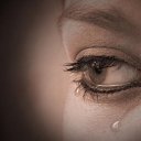 ���� V, �����������, 47 ��� - ��������� 16 ������ 2015 � ������ ������ ��������