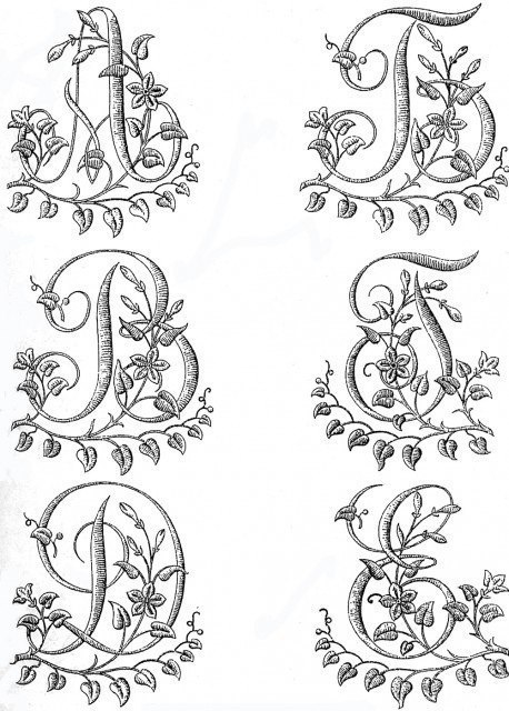 ����� ���� ��� ������� ������.