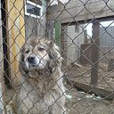 ���� �������, ������, 48 ��� - ��������� 9 ������ 2015 � ������ ���� ����������