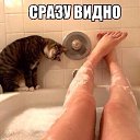 ���� ����, ������ ����� - ��������� 31 ������ 2015 � ������ ������ ��������