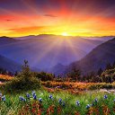 ���� Mora, ������ - ��������� 21 ������ 2015 � ������ ������ ��������