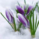 ���� *~*������� *~*, ������, 66 ��� - ��������� 8 ����� 2015 � ������ ������ ��������