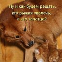 ���� ���������, ����, 48 ��� - ��������� 1 ����� 2015 � ������ ������� ����