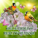 ���� ����, �������, 43 ���� - ��������� 9 ������ 2015 � ������ ������ ��������