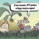 ���� N, �����������-��-����� - ��������� 17 ������ 2015 � ������ ������ ��������