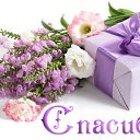 ���� �������, �����-��������� - ��������� 9 ������ 2015 � ������ �������� ��������