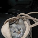 ���� �1 �� ������� ���� ����������