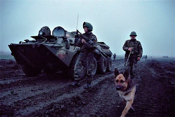 Полезные советы ветеранов боевых действий: 1. В лесах Северного Кавказа произрастает дерево - бук ...