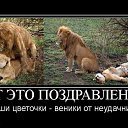 ���� Alex, ������� - ��������� 14 ������� 2015 � ������ ������ ��������