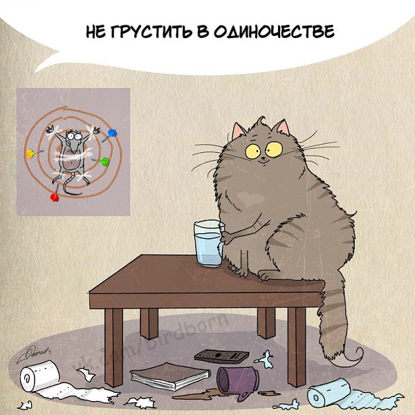 1 марта отмечается День кошек в России :).Нам есть чему поучиться у шерстяных говнюков! - 3