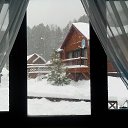 ���� �����, ����������, 62 ���� - ��������� 19 ����� 2015 � ������ ���� ����������