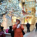 ���� �������, ������, 57 ��� - ��������� 14 ������ 2015 � ������ ���� ����������