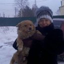 ���� ������, ��������, 66 ��� - ��������� 7 ������ 2015