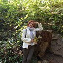 ���� �����, �����������, 70 ��� - ��������� 15 ������� 2014 � ������ ���� ����������