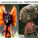 ���� �����, �����-���������, 50 ��� - ��������� 14 ����� 2015 � ������ ������ ��������