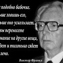 ���� ������� ��������, ����� - ��������� 28 ������ 2015 � ������ ������ ��������