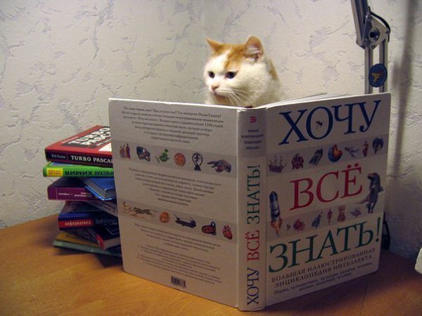 Хотите мыслить шире, читайте! 58 книг, которые научат вас этому! 1. Данте Алигьери «Божественная ...