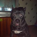 ���� �������, ���� - ��������� 31 ������� 2014 � ������ ������ ��������