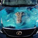 ���� ���� � �������, �����������, 40 ��� - ��������� 25 ������� 2015 � ������ ������ ��������