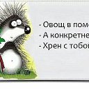 ���� ˸����, ������ - ��������� 16 ������� 2014 � ������ ������ ��������