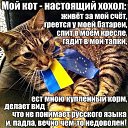 ���� ��������, �����, 42 ���� - ��������� 26 ������� 2014 � ������ ������ ��������