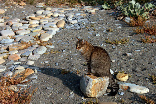 K K - 16  2014  16:50