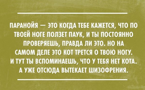  - 1  2015  10:06