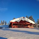 ���� �����, ����, 44 ���� - ��������� 15 ������ 2015 � ������ ������ ��������