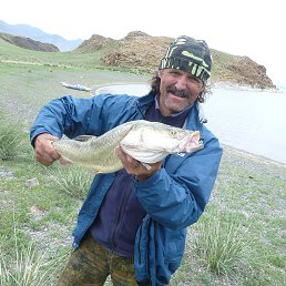 ���������, ������, 62 ����