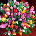 ���� ������� - �� ��������!, �������� - ��������� 1 ����� 2015 � ������ ������ ��������