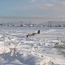  ,  -  18  2014    2014 Ļ