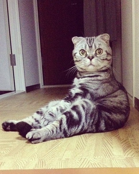       - 11  2015  23:42 - 6