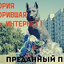 ���� ���������, ��������, 76 ��� - ��������� 16 ������� 2015 � ������ ������ ��������