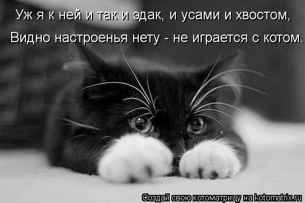       - 19  2014  09:31