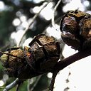 �������� 2014. �� ������� ������Ż