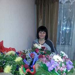 ������ ��������, ������, 66 ���