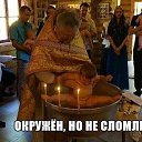 ���� �������, ������������, 50 ��� - ��������� 5 ������� 2015 � ������ ������ ��������