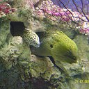 ���� Eugene, �������, 43 ���� - ��������� 18 ������� 2014 � ������ ����������� ��������