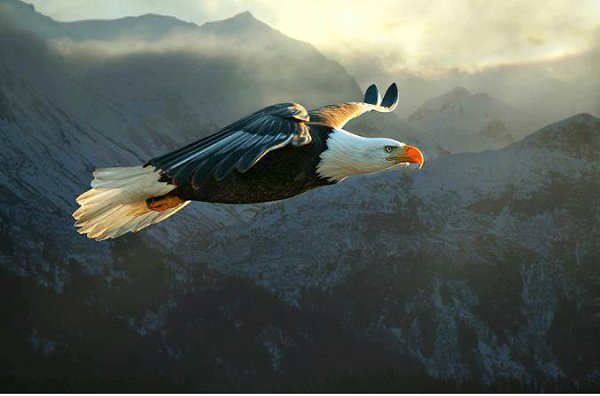   {   } - 16  2014  17:35